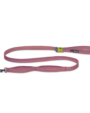 Del DÃa Dog Leash