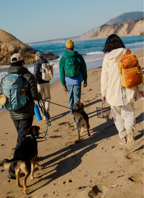 Packs & Gear