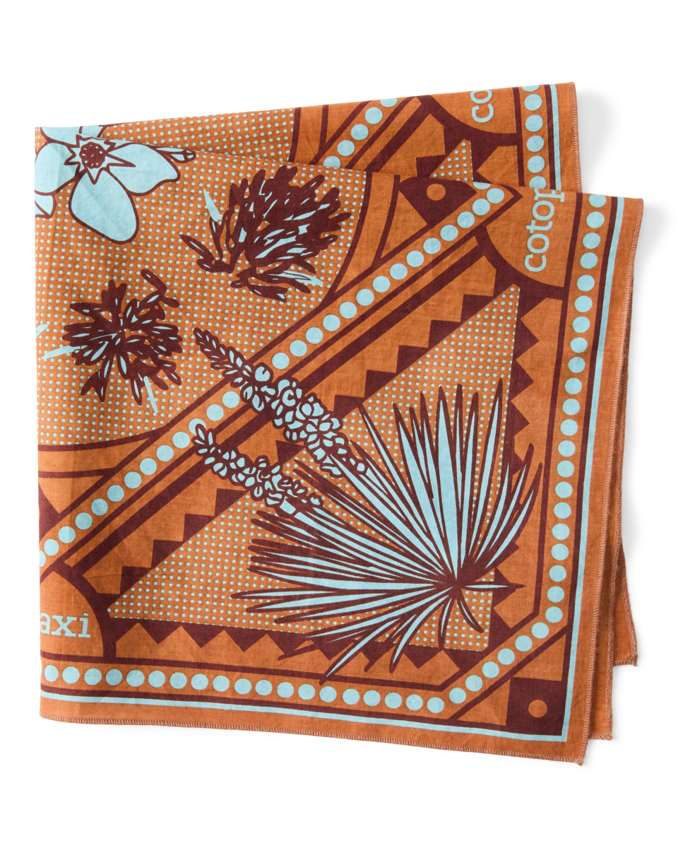 Organic Cotton Bandana - Image 2